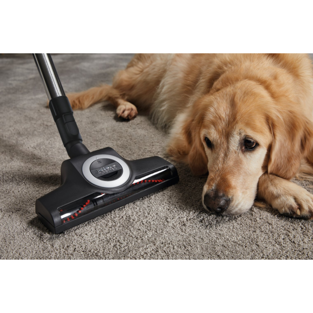 Miele C2CAT_DOG Complete Cylinder Vacuum Cleaner - Red